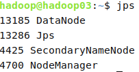 hadoop03节点上启动的进程